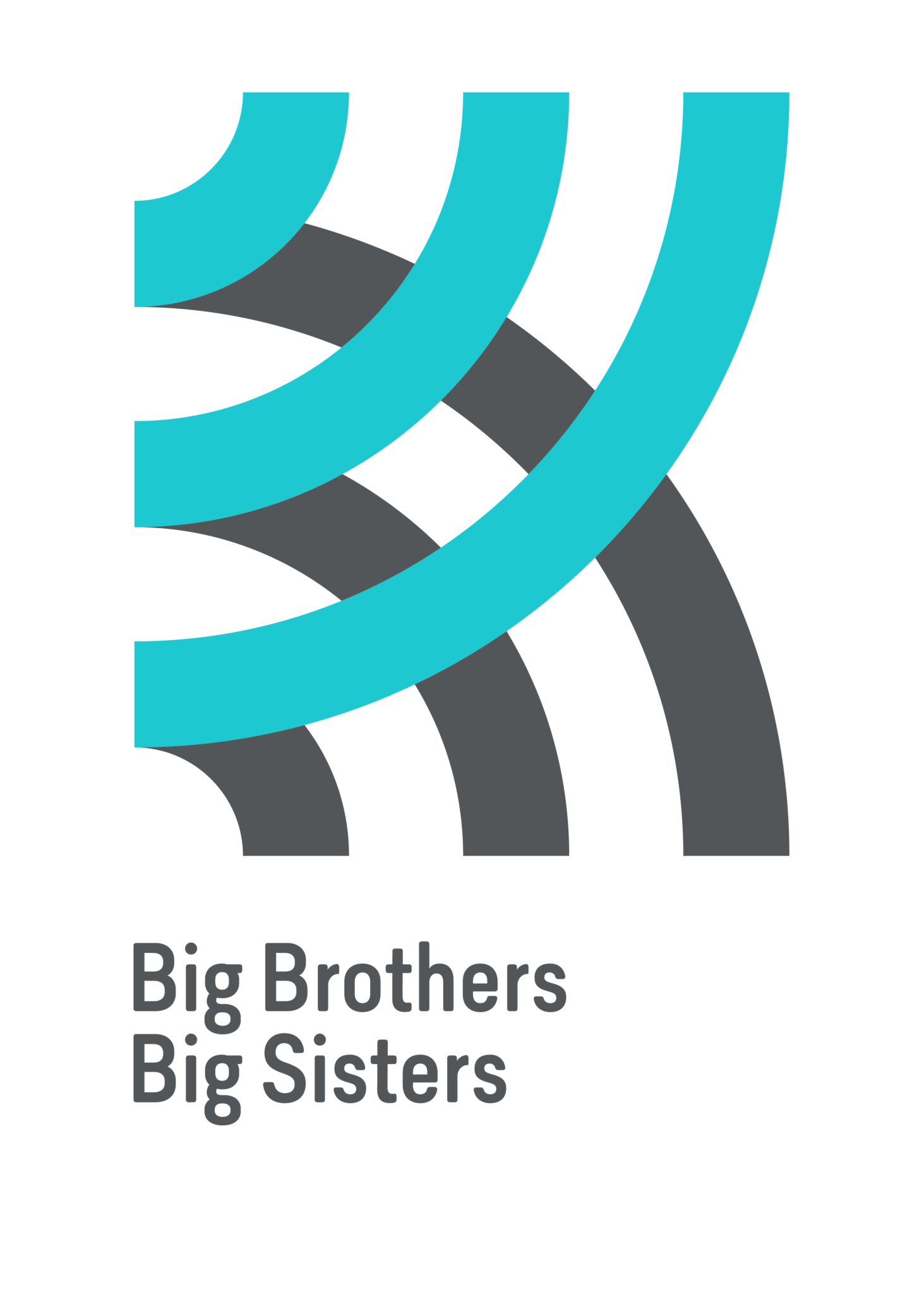 Big Brothers Big Sisters Canada And Indspire Announce Exciting New