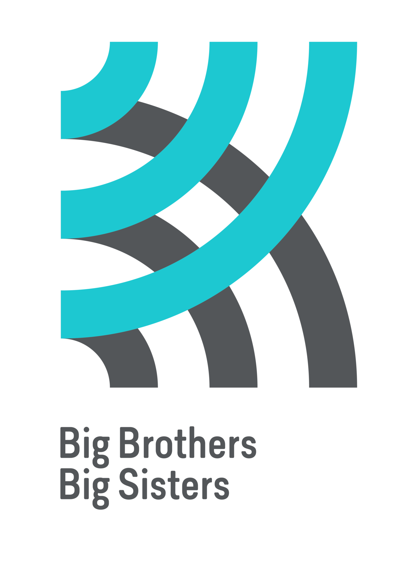 big-brothers-big-sisters-canada-and-indspire-announce-exciting-new