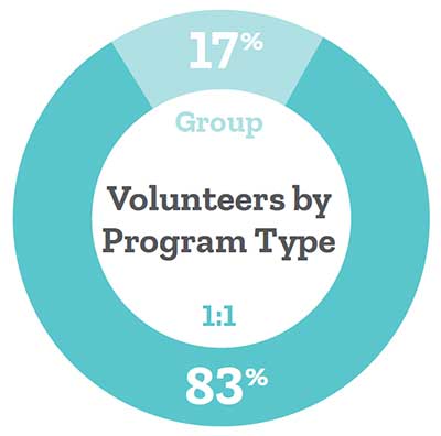 Volunteers by Program Type 2022